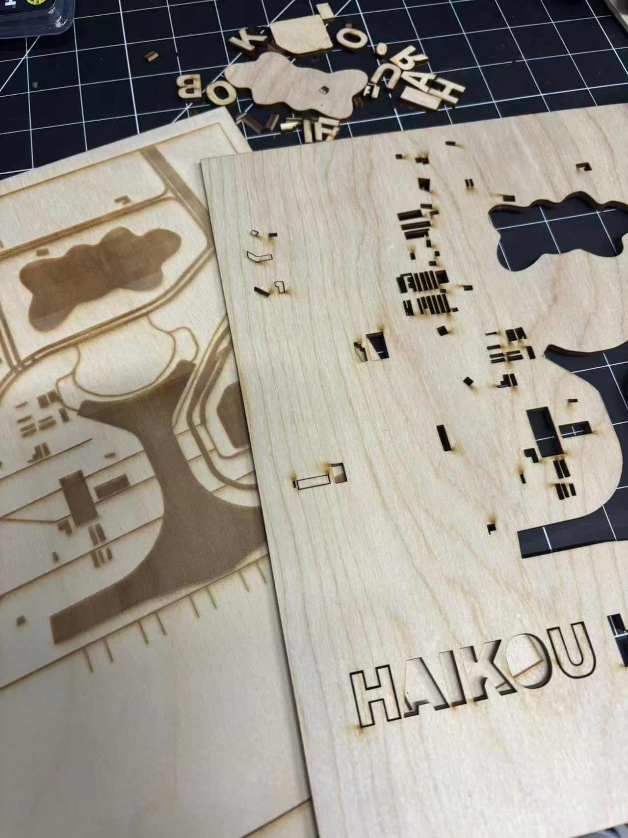 This is what it looks like after printing.