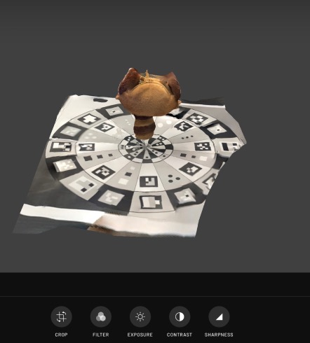 This is a demonstration of the process of scanning a 3d model.